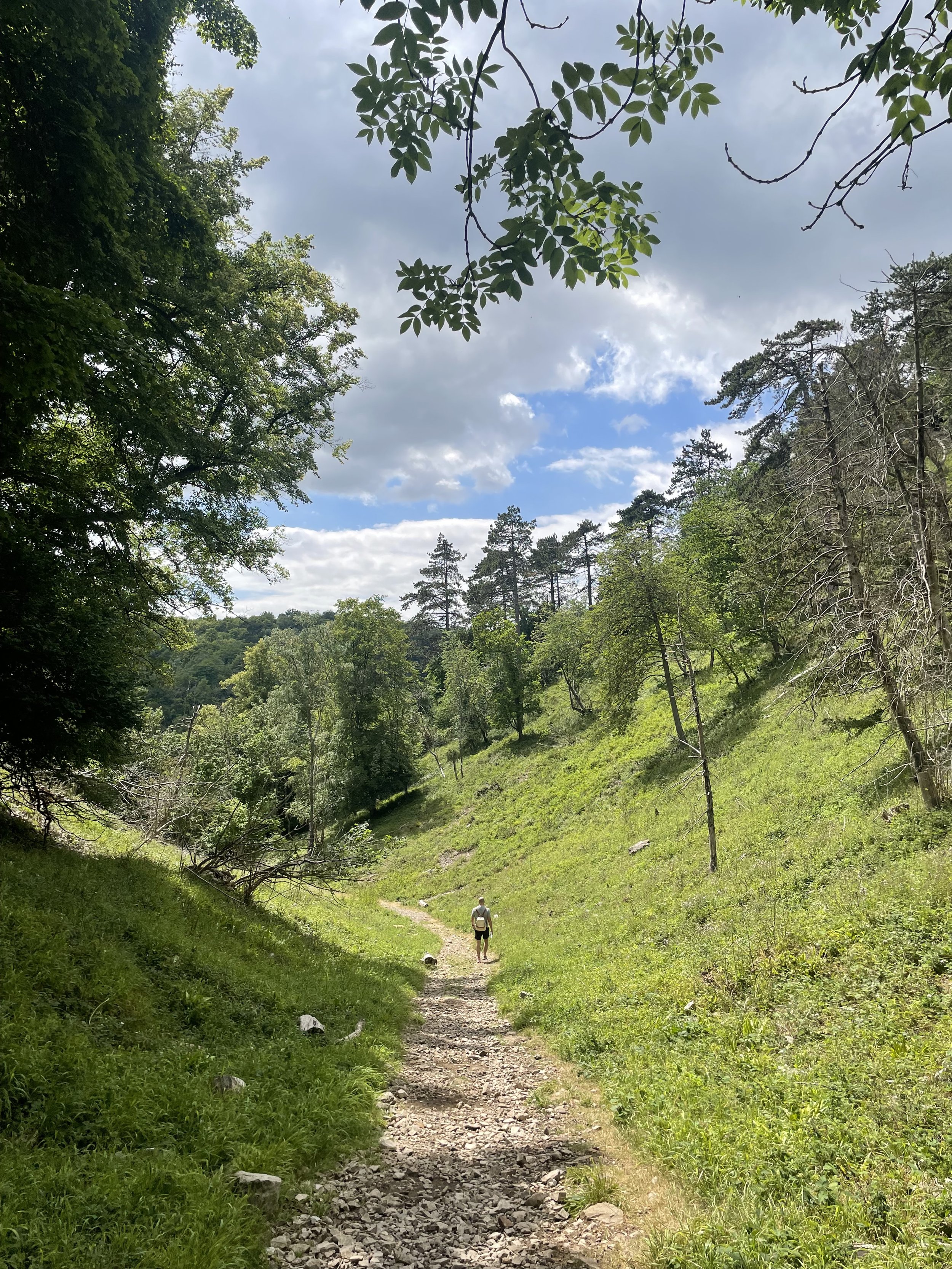 endless trails of beauty