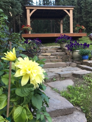 deck with flower aug 2-17.jpg