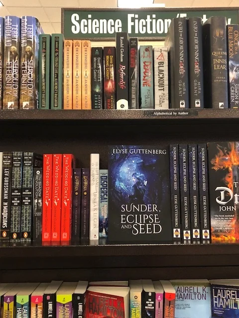 Sunder on Barnes and Noble shelf.jpg