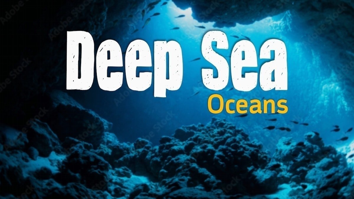 Deep Sea Program