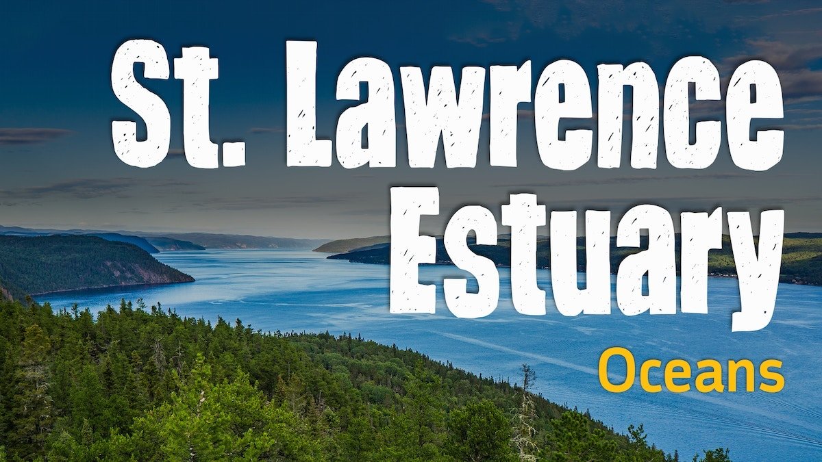 St. Lawrence Estuary