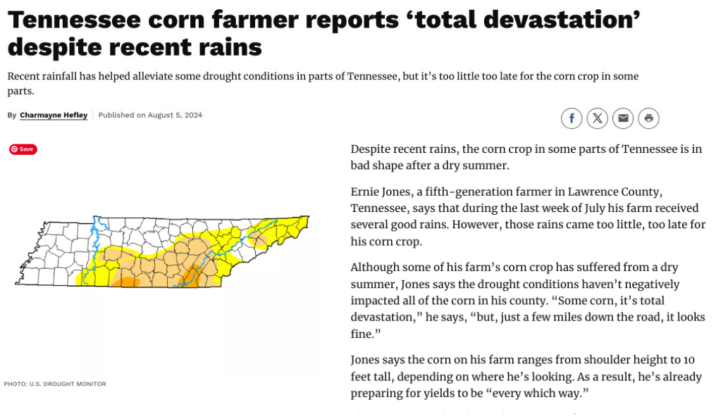 Tennessee corn farmer reports 'total devastation' despite recent rains