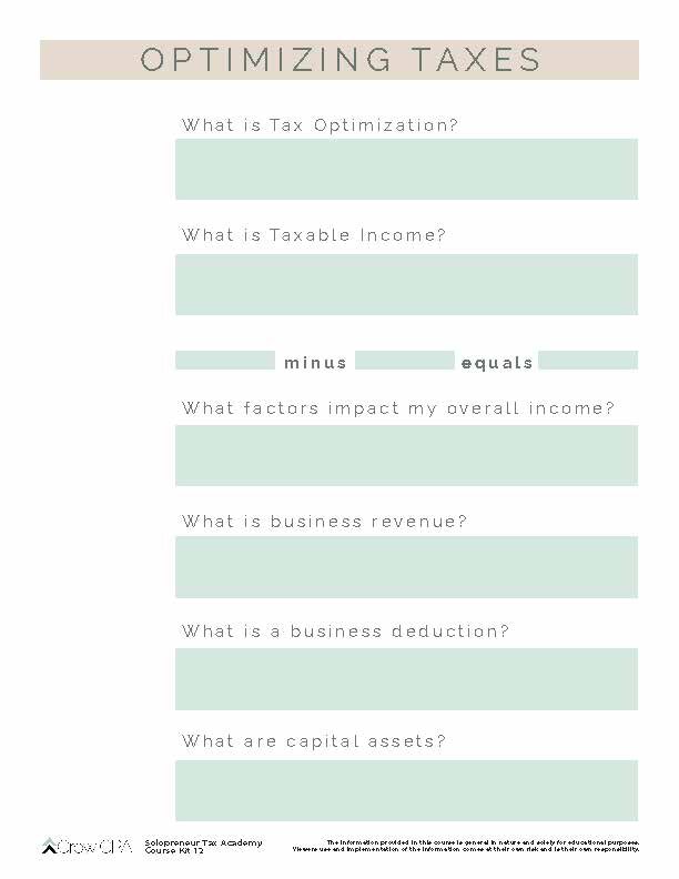 SolopreneurTaxAcademy_CourseKit_Print_Page_12.jpg