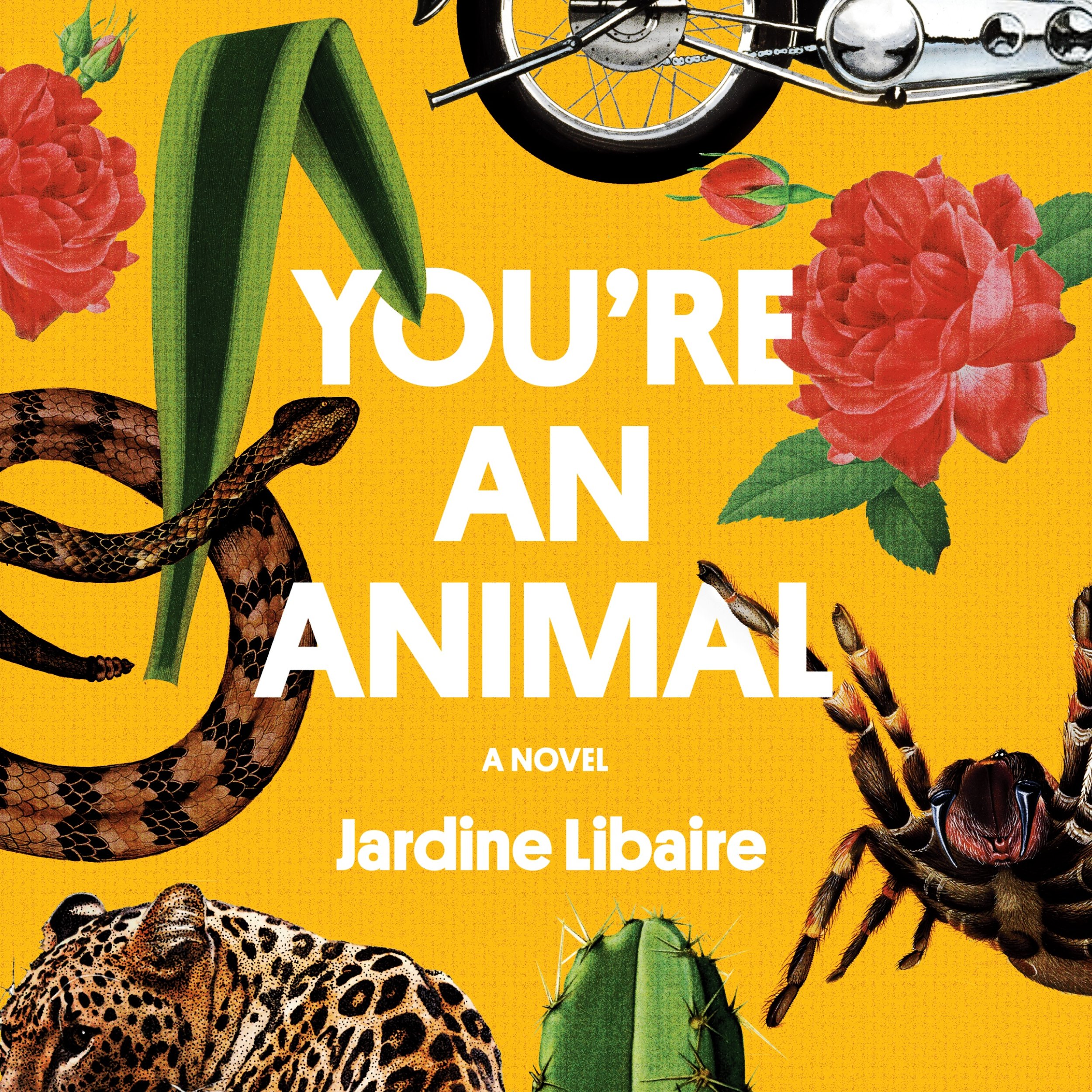 You're An Animal by Jardine Libaire