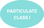 Icon_Particulate-Class-I.png