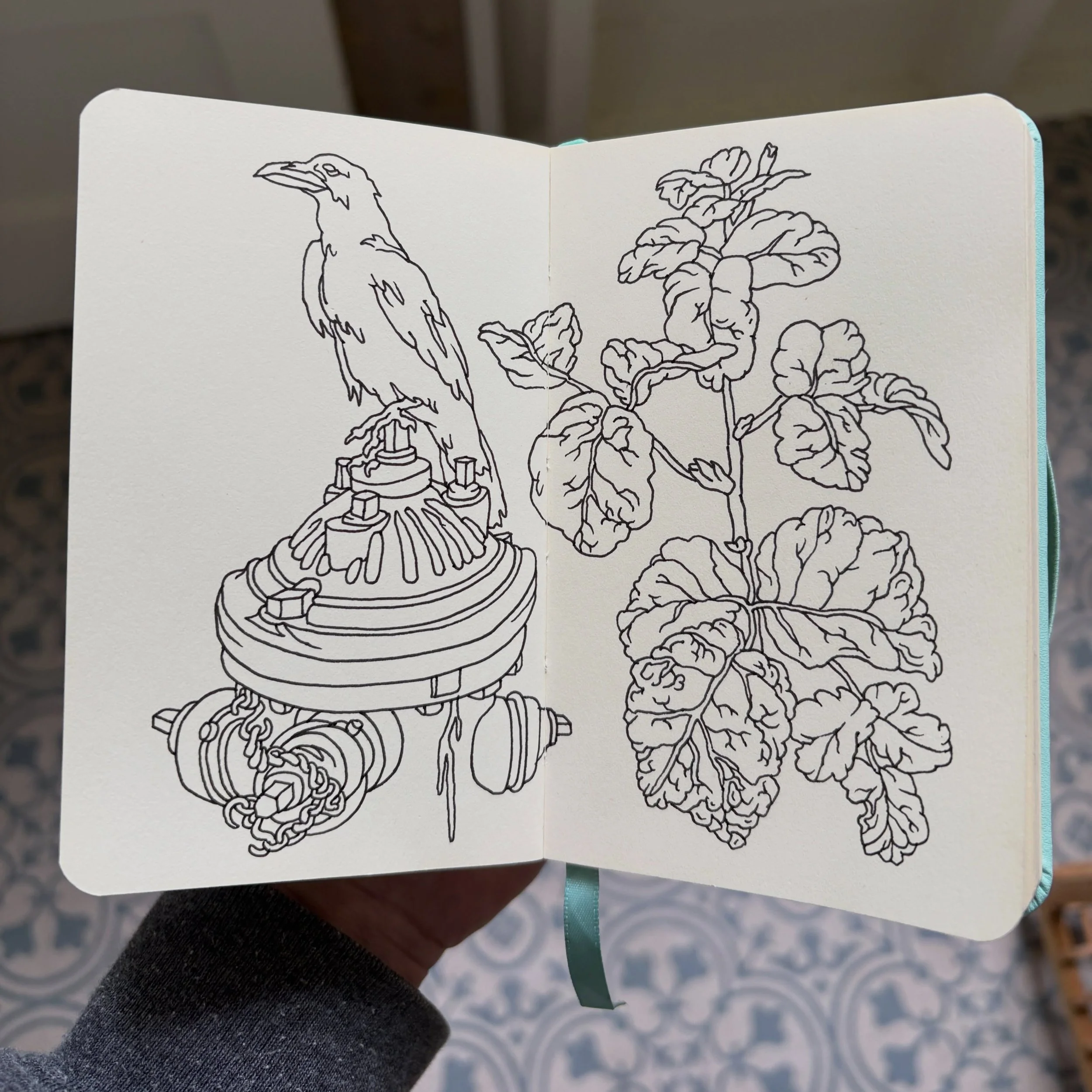 Raven on a hydrant and the devil&rsquo;s lettuce