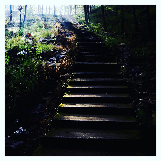 Sometimes the path is impossible to make out&hellip; Sometimes the ray of light that you were allowed to follow only shows you a portion of the stuff in front of you&hellip; Lately her family has had to follow this little ray of light. There are shif