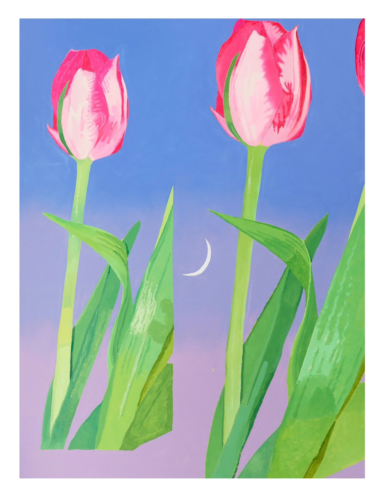 Magic Hour (Tulips) , 2025 oil on canvas 80 × 60 inches