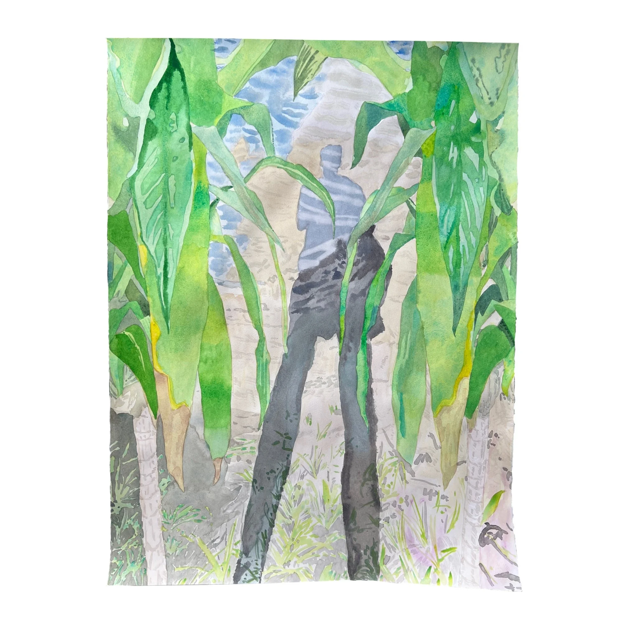 Vienne Shadow , 2024 watercolor on paper 30 × 22 inches