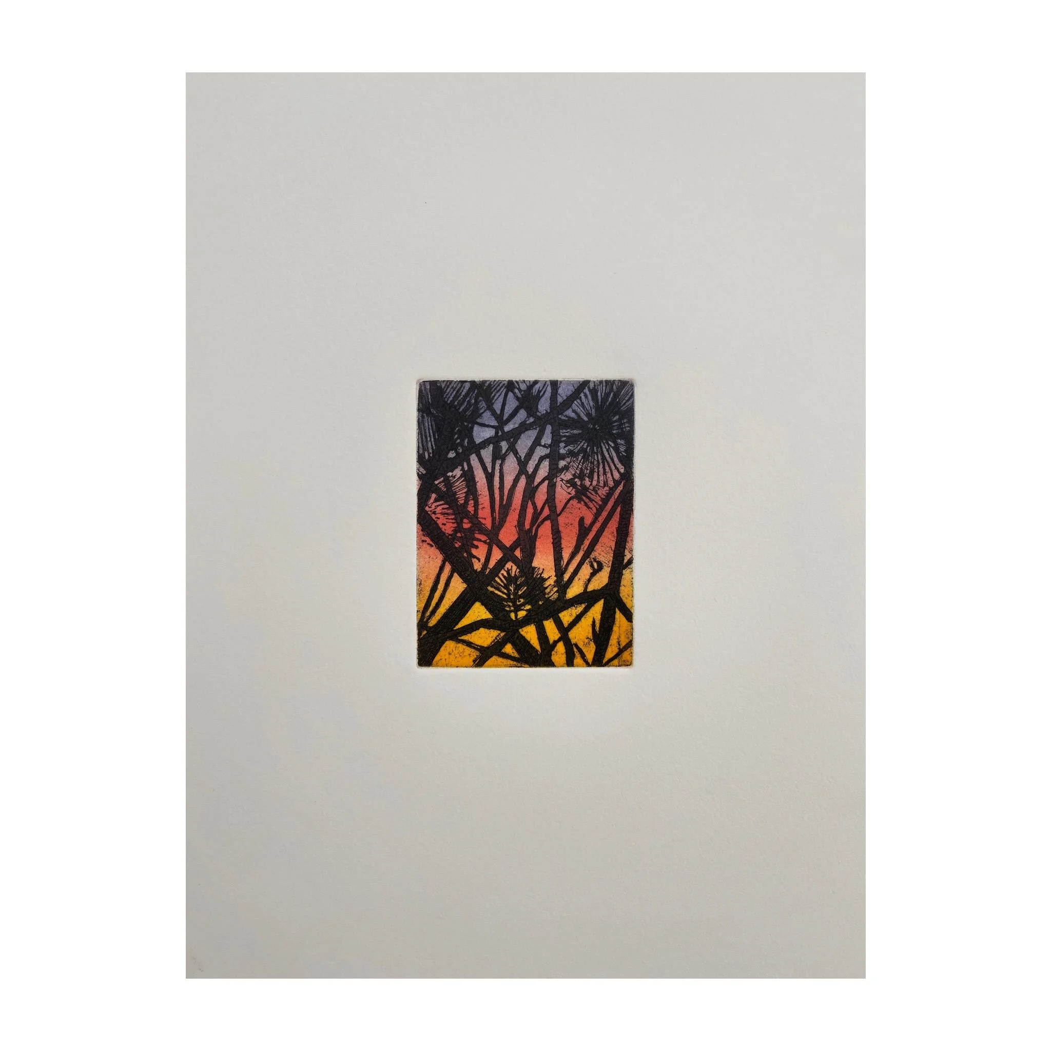 BradleyKerl_LoblollySunset_13x10_etching.jpg