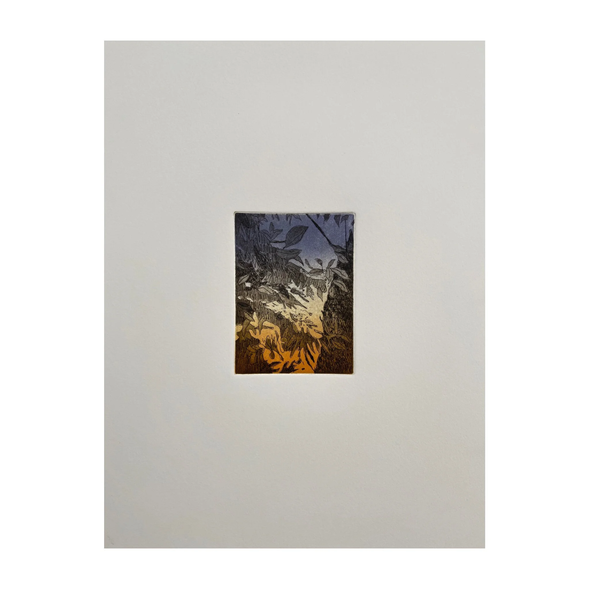 BradleyKerl_TuscanSunset_13x10_etching.jpg