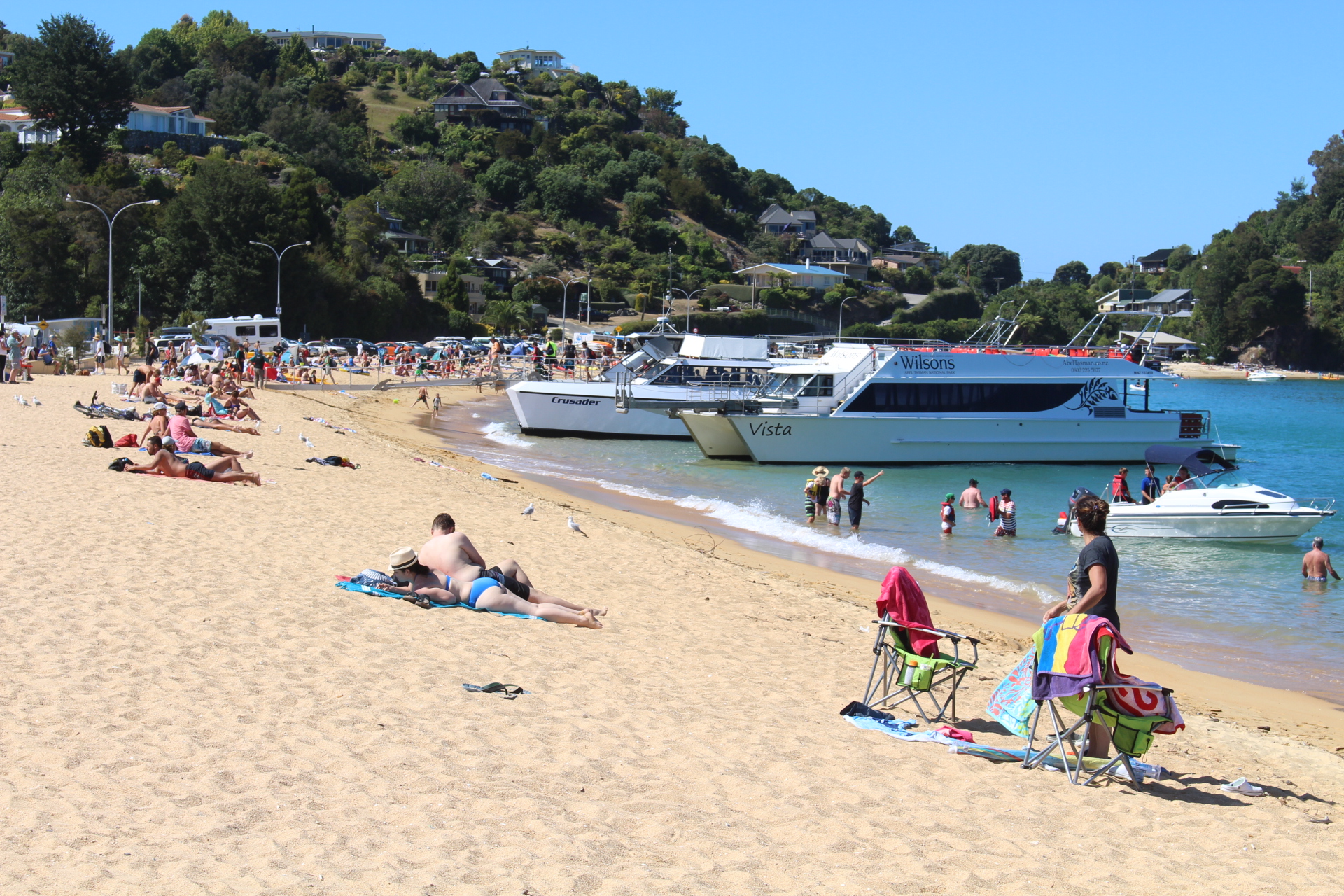 pakawau february 2015 158.JPG