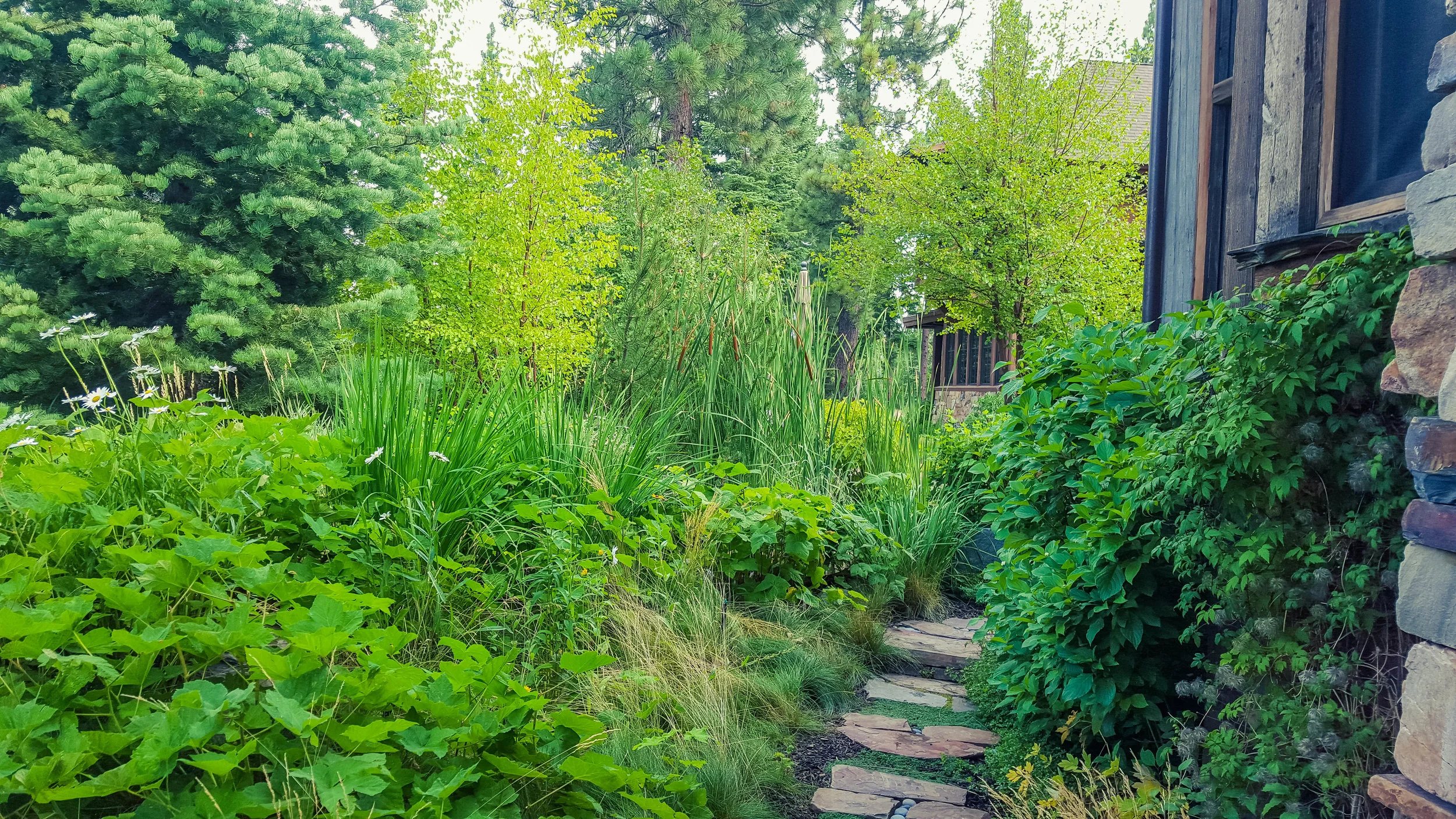 20150807_100815.jpg