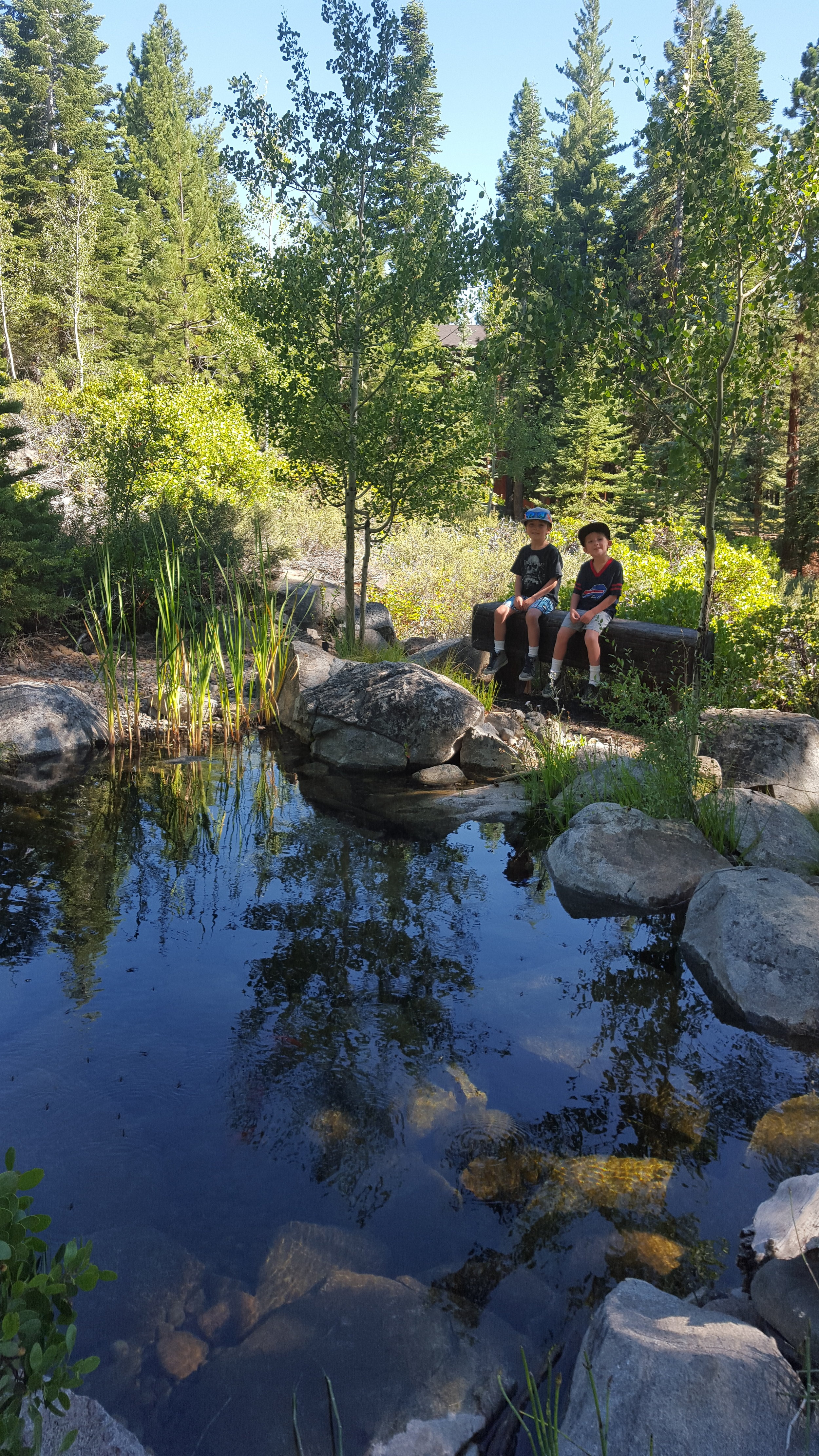 20150725_163420.jpg