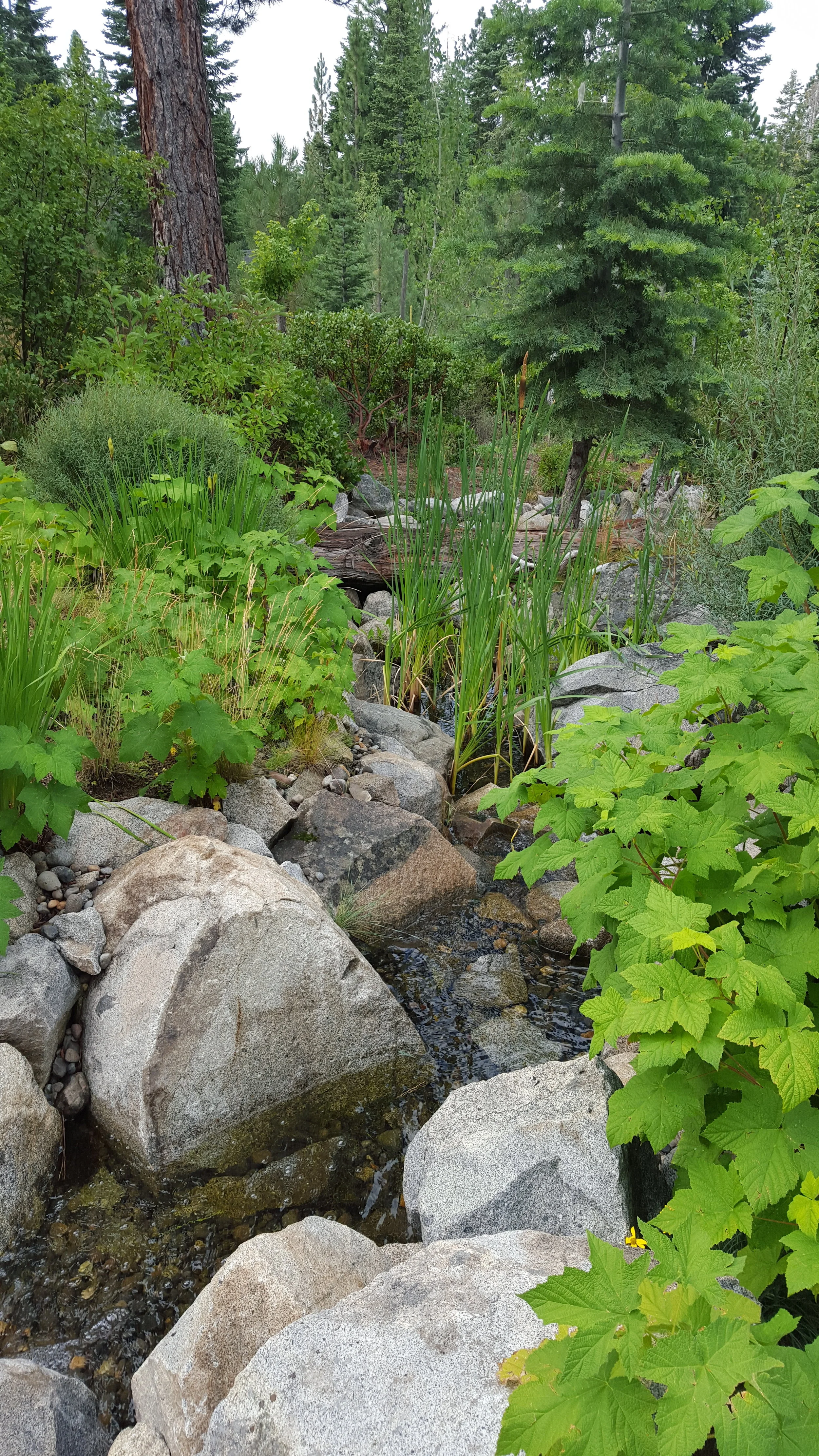 20150807_101259.jpg