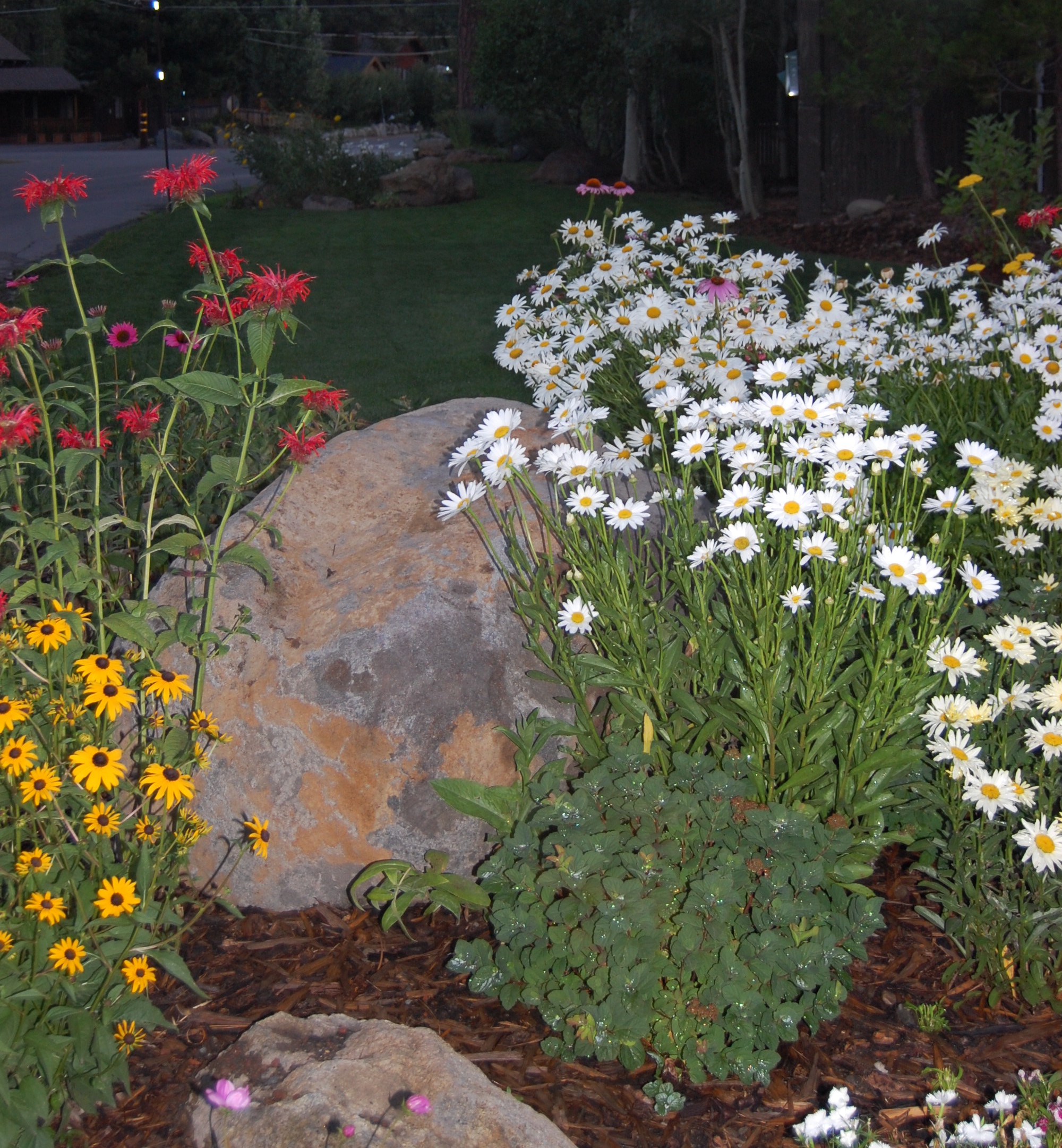 FLOWERS