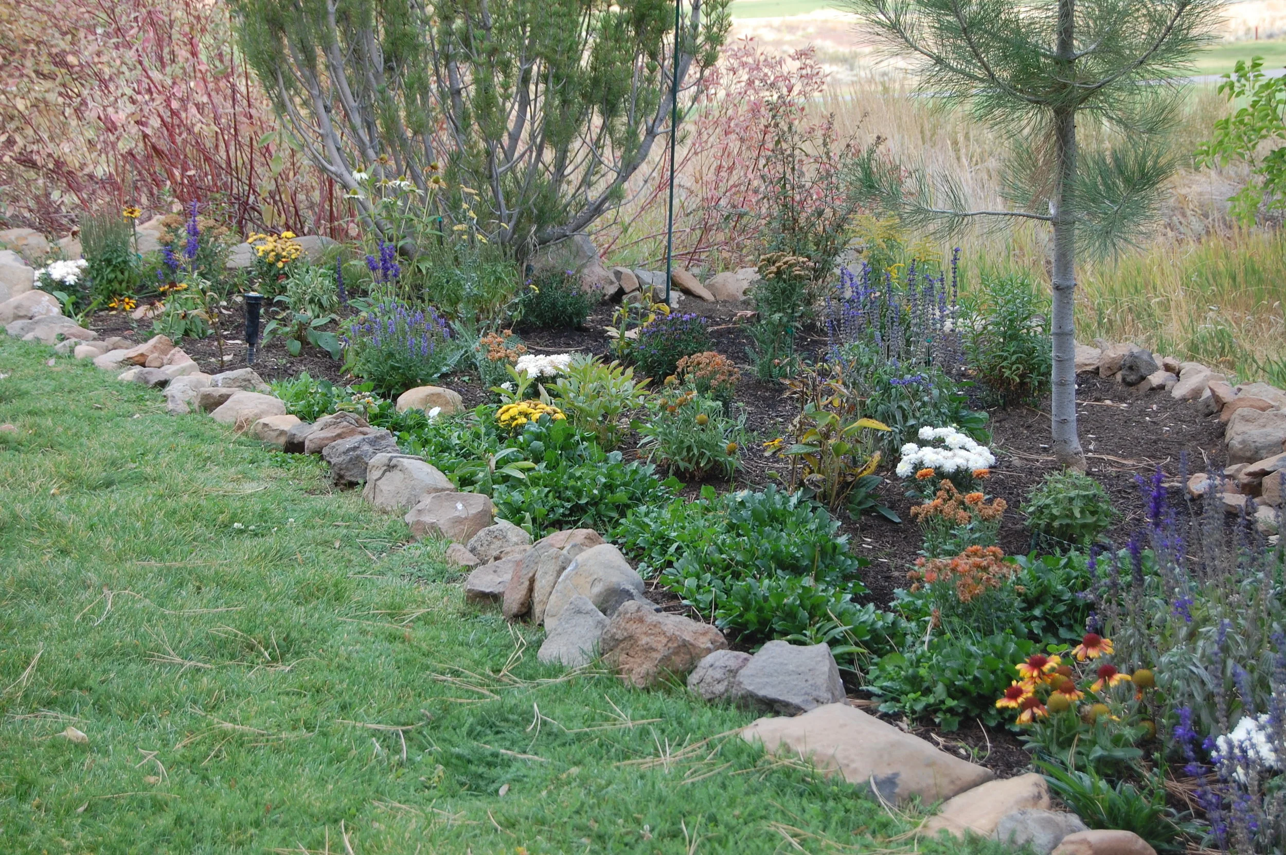 PERRENIAL BEDS