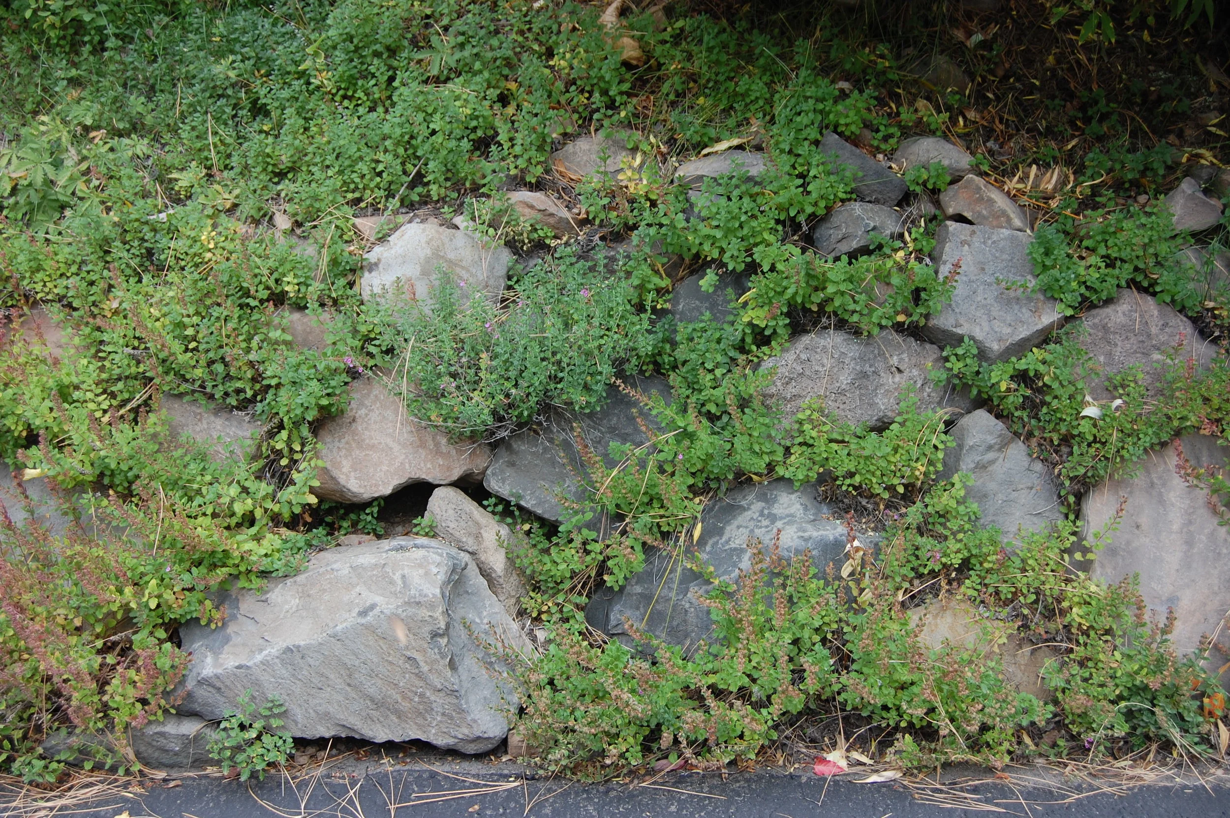 ROCKWALLS