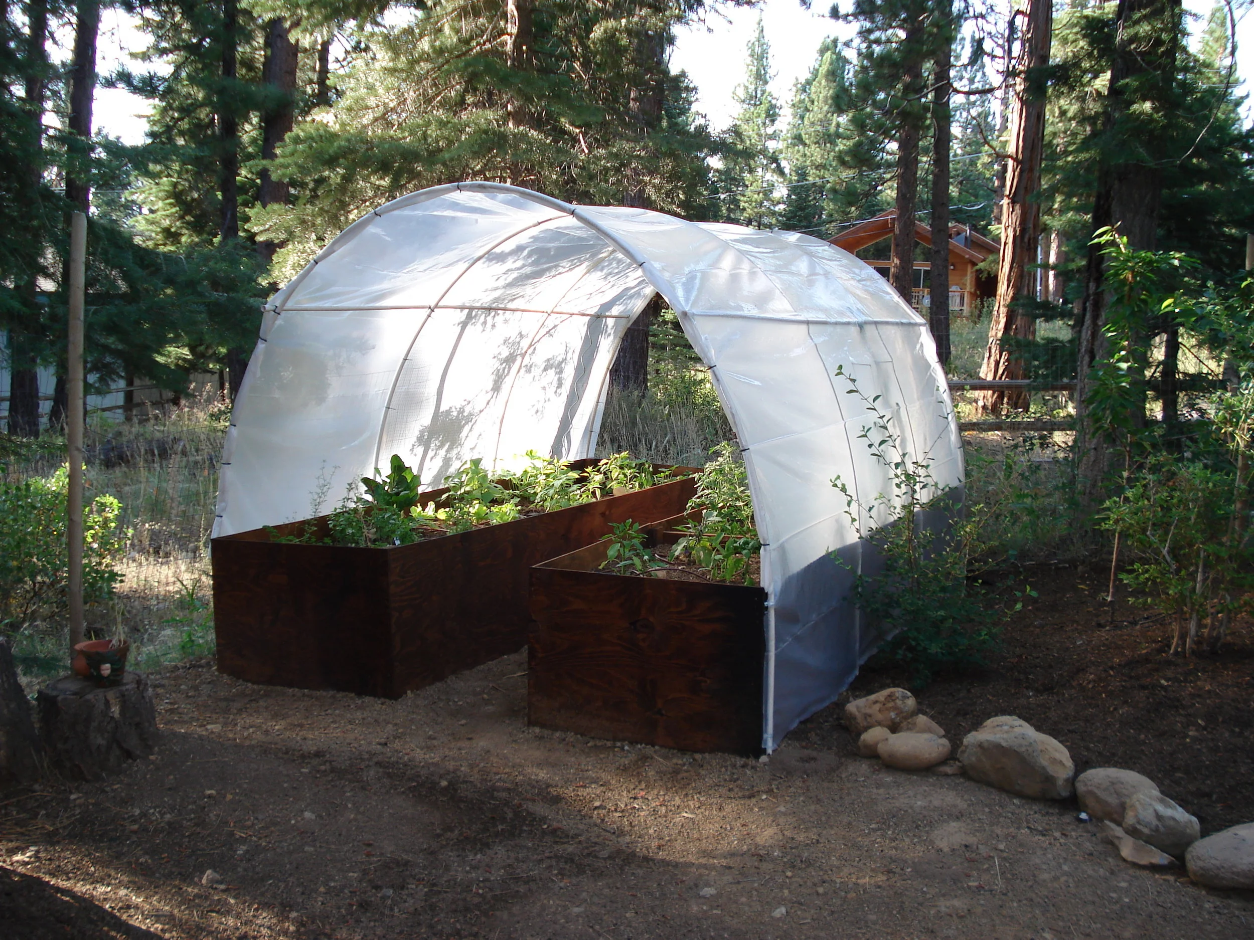 VEGGIE GARDENS