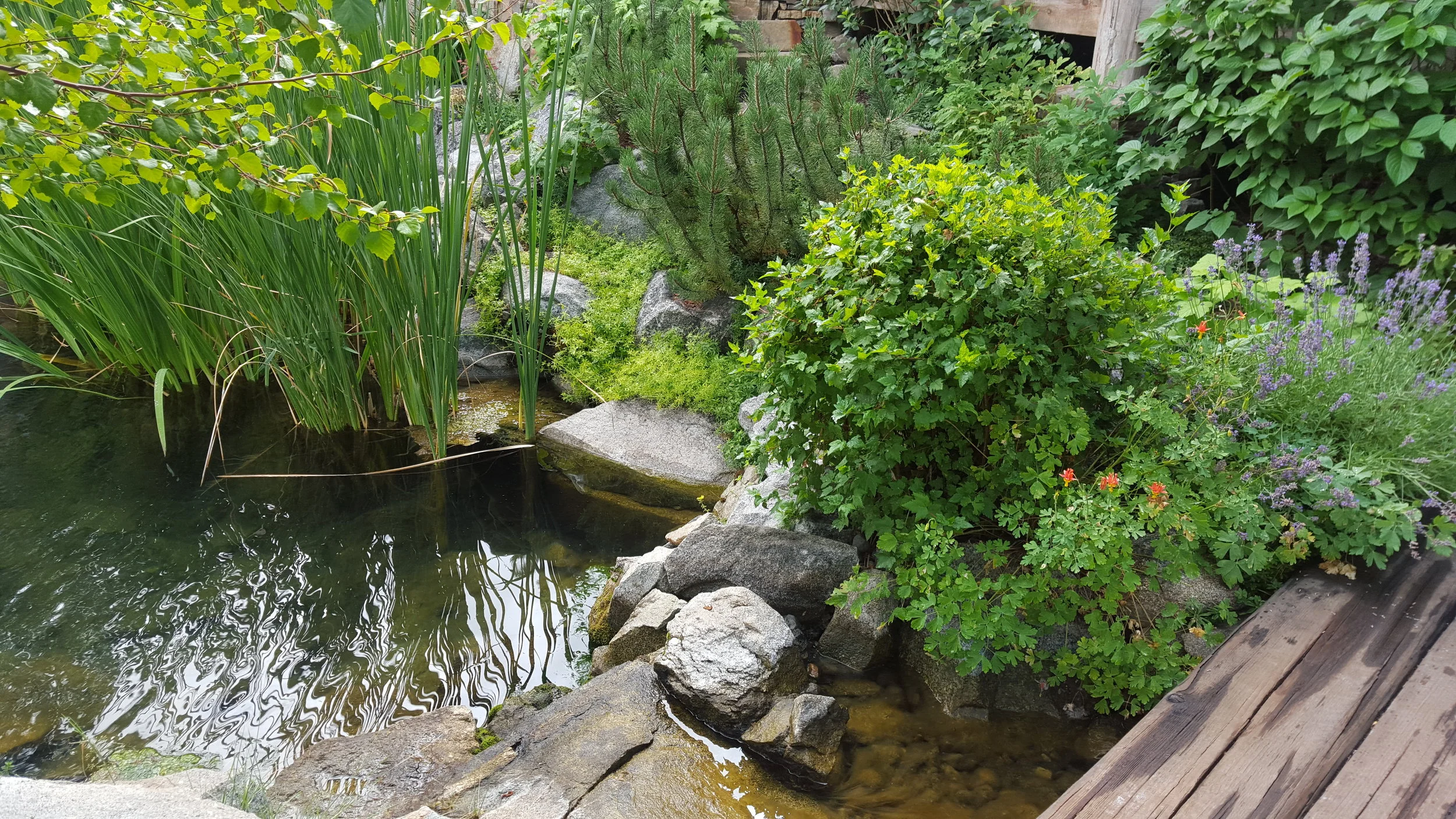 PONDS