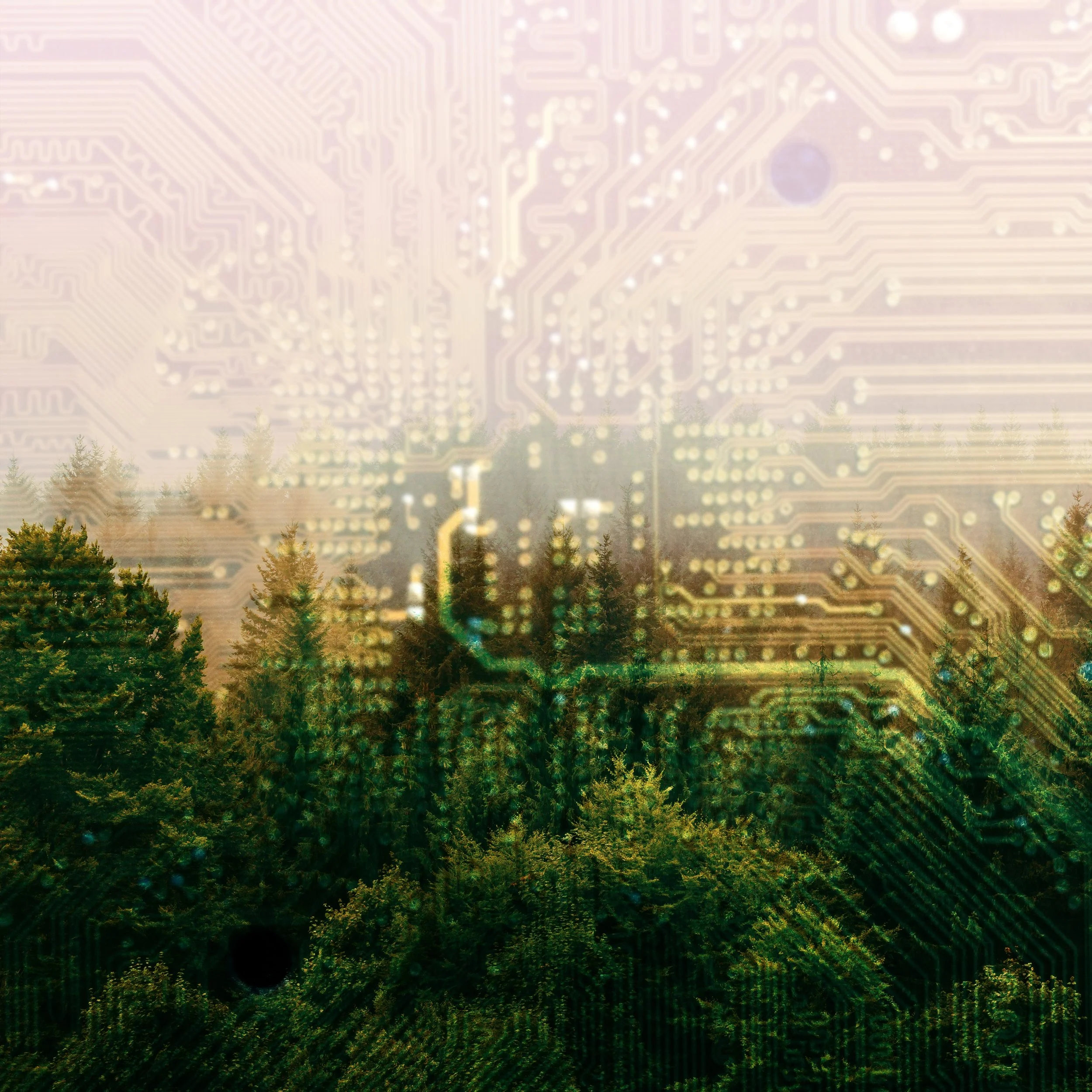 AI &amp; Creation Care: Friends, Foes or Future?