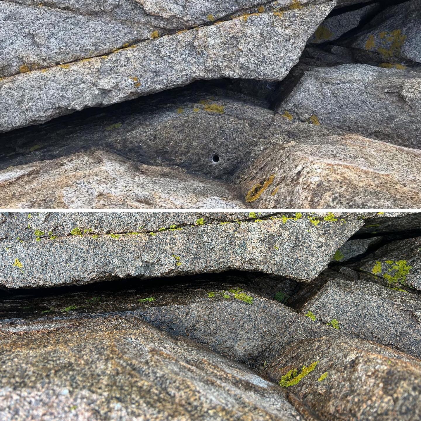 🔩 BEFORE &amp; AFTER 🔩 of bolts and drilled holes across Otter Cliffs

A month ago, we learned about the unnecessary addition of bolts and drilled holes at Otter without permission by the park service and without knowledge of the local ecosystem an