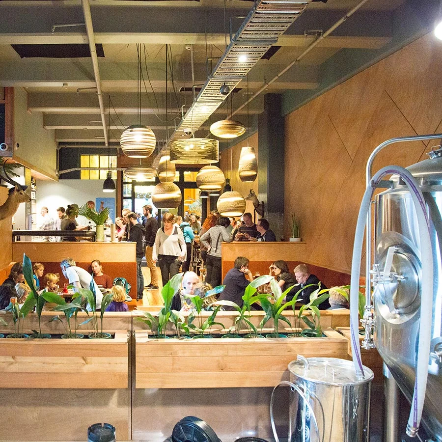 Craft Beer Brew Bar Tour Wellington