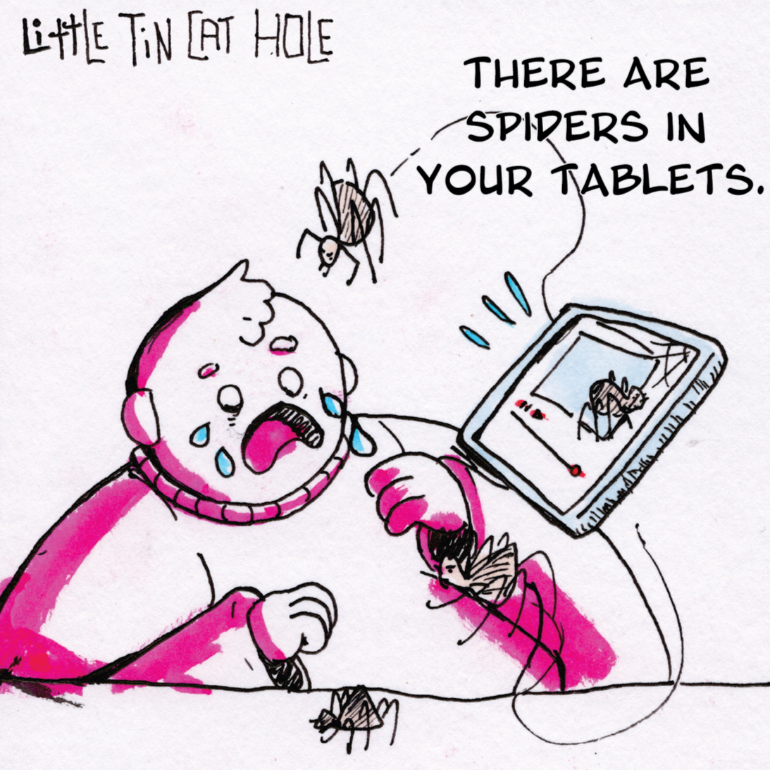 Spiders