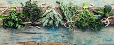 MINISTER’S MESSAGE