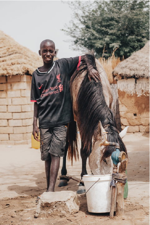 Animal Program — Mission Senegal