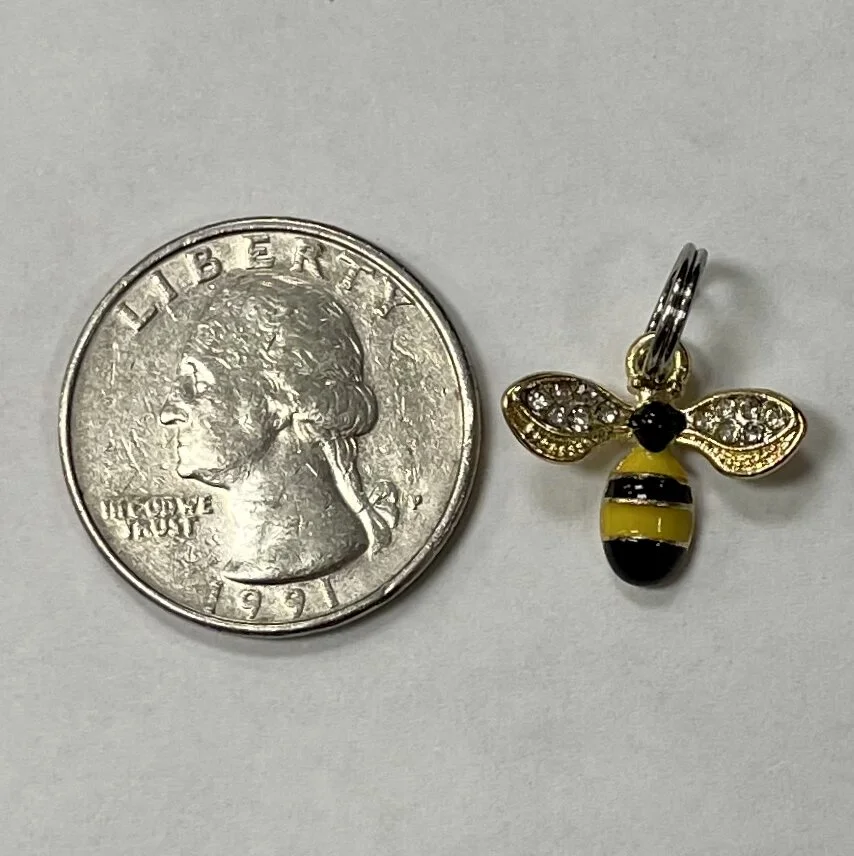 5049E763-8C24-49C6-AF12-8C8DC6867FE1