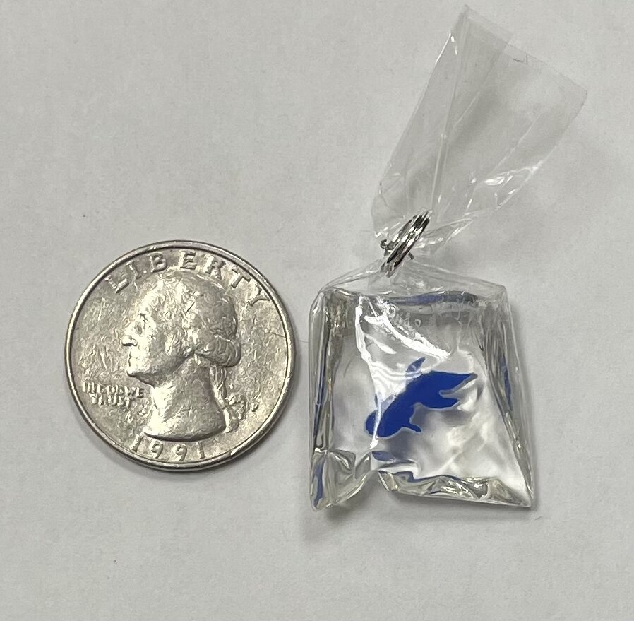 38B0293C-70B5-4005-A717-619AD54D78B2