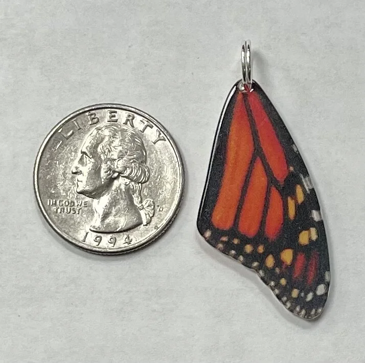 B59AF543-DC0F-4D83-8214-0FC67EAD174B