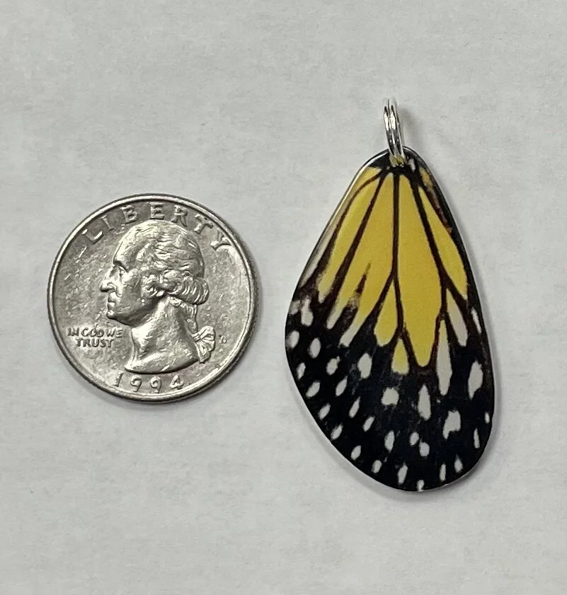 3F057CE4-9A58-470F-9660-C13CA67E8A01