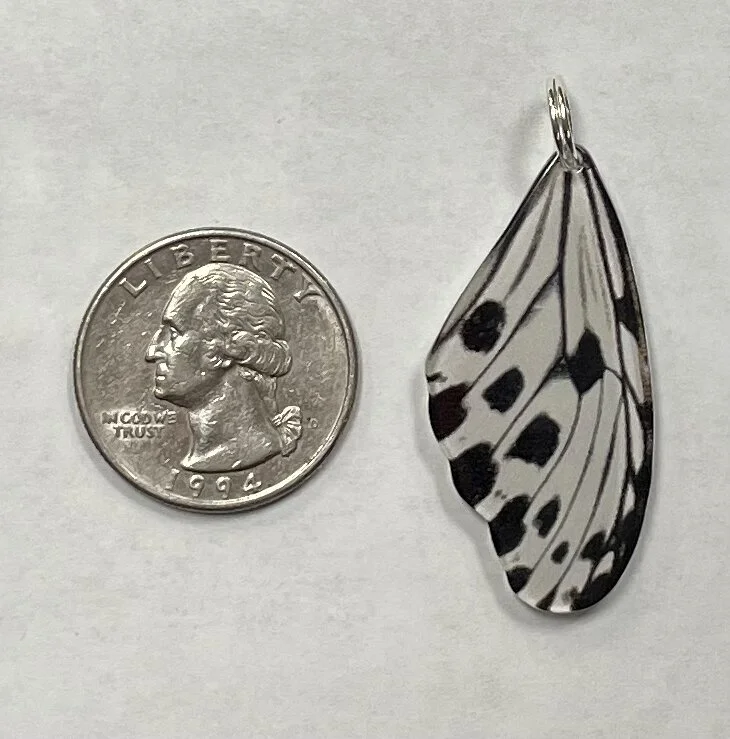 1A0EDE6A-A76E-4F78-BE2A-EDDA2A120E88