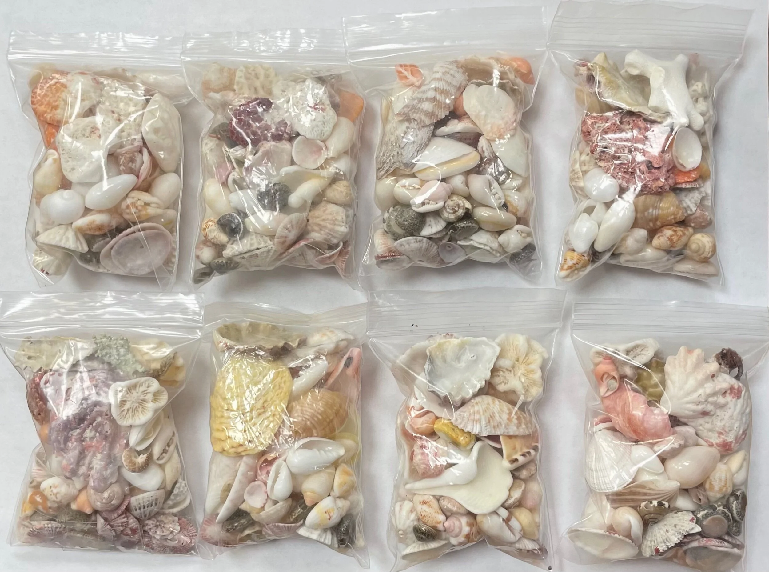 CB9DD649-F82F-43CE-9E47-260B7FC499CD