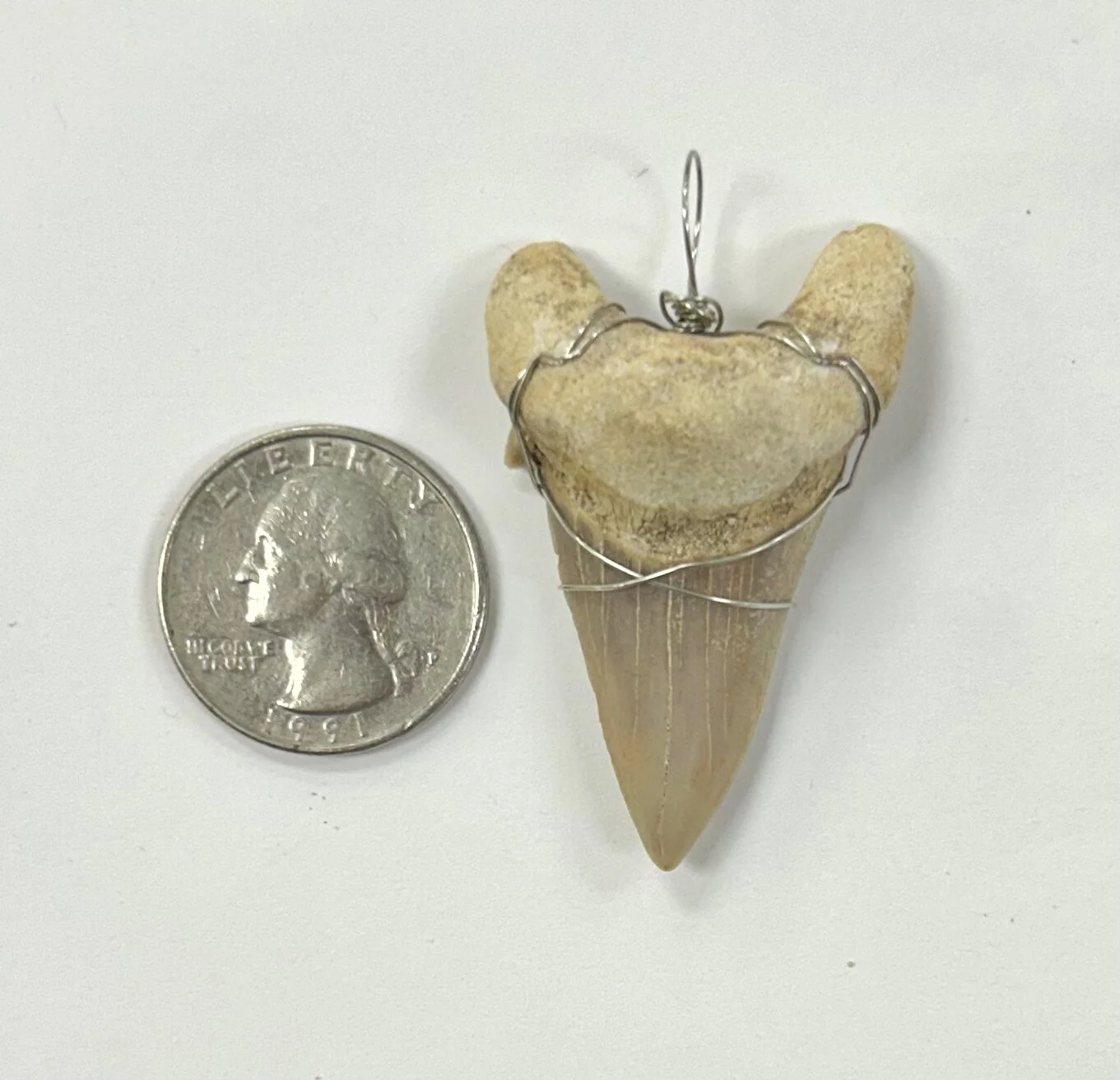 E6EFC9EA-2D46-47AE-AB5A-09979E584F50