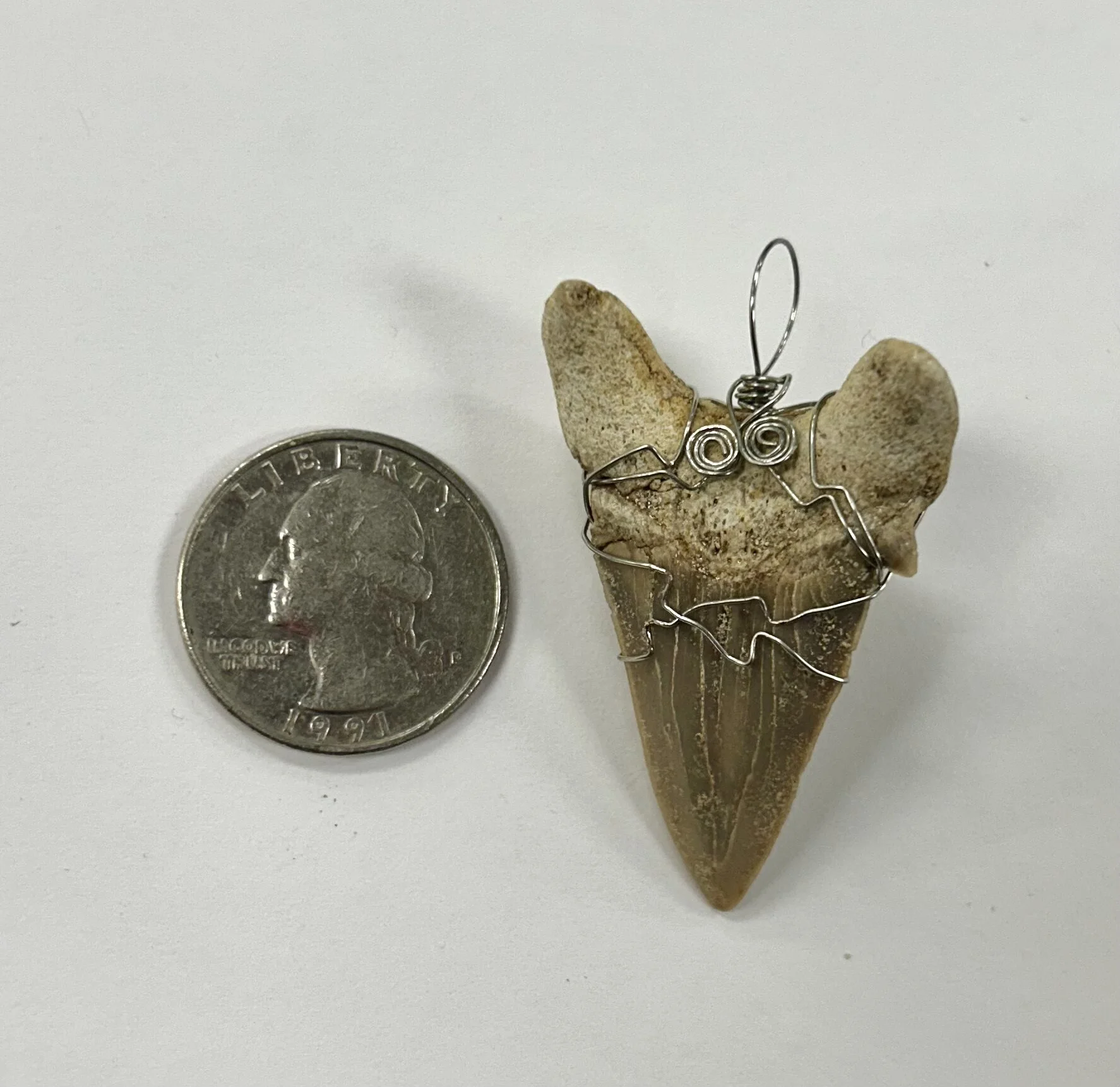 21DB22E8-1B98-436E-A9CE-CD62997F92E7