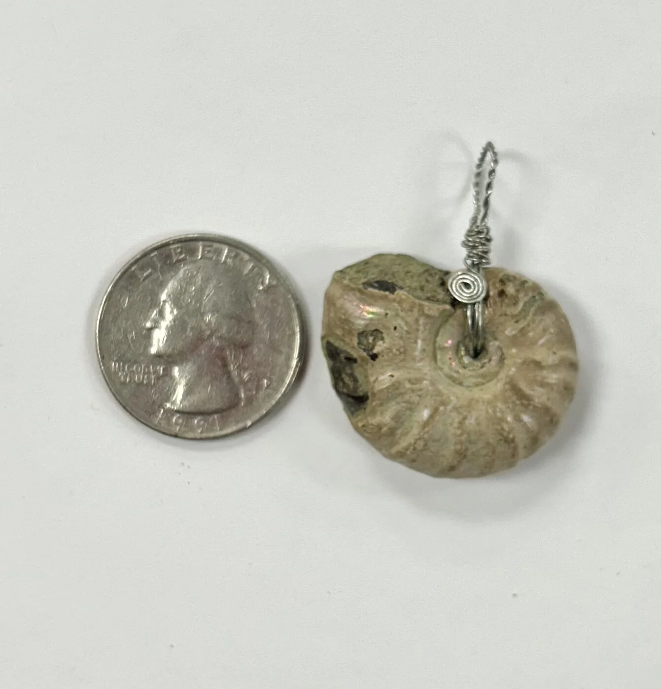 F801D6C4-3337-4E5B-A161-66C371ACF9F9