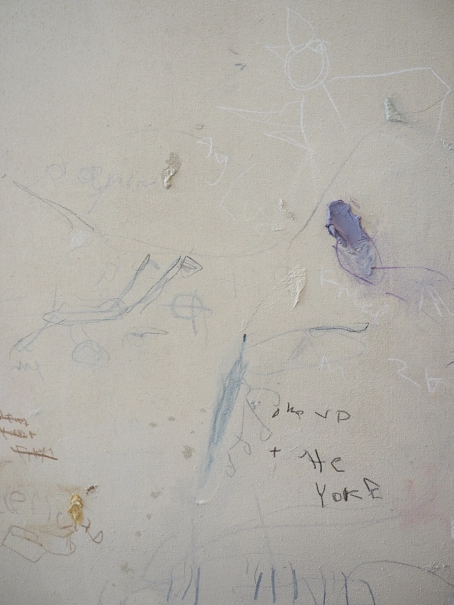 P8174948.jpg