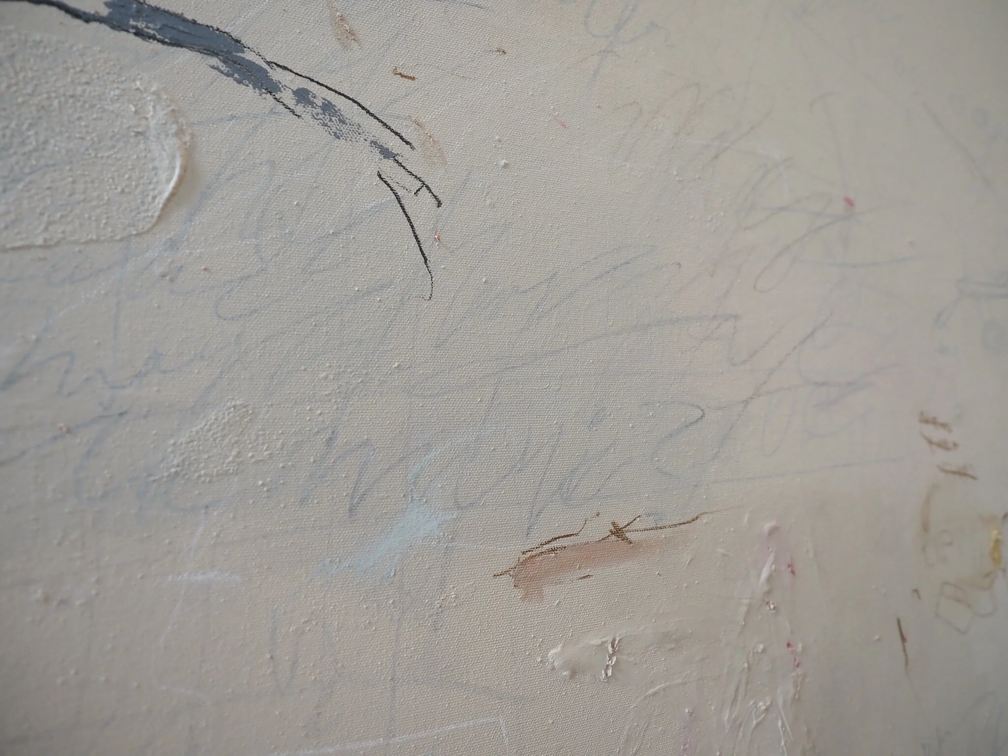 P8174962.jpg