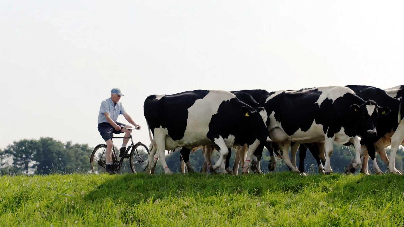 Farmer &amp; Herd