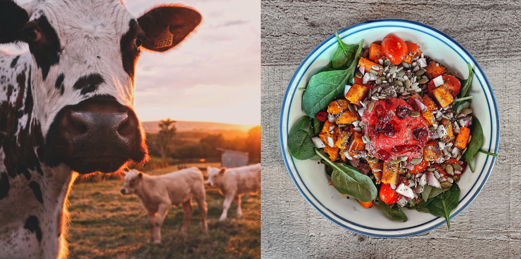 Optimal time frames for change