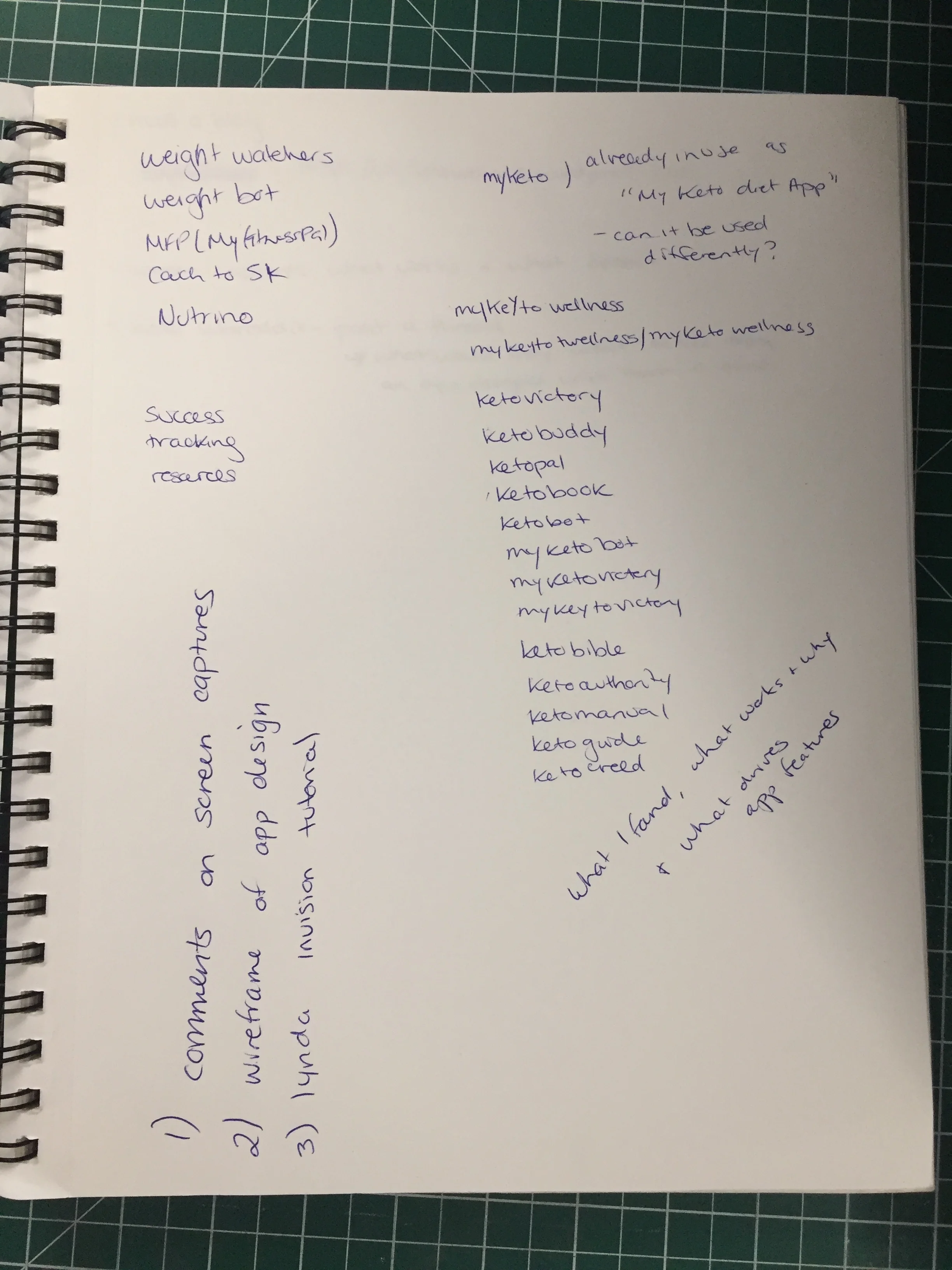 thesisnotes2.jpg