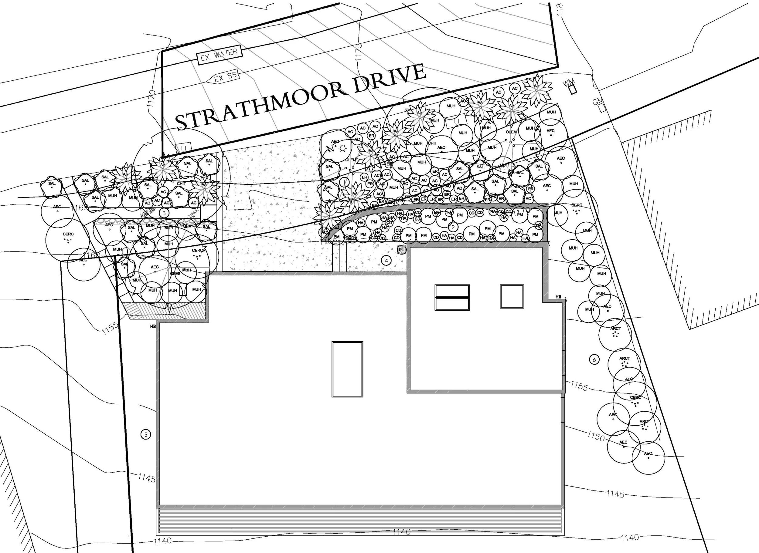 PLANTING PLAN - cropped - Copy.jpg