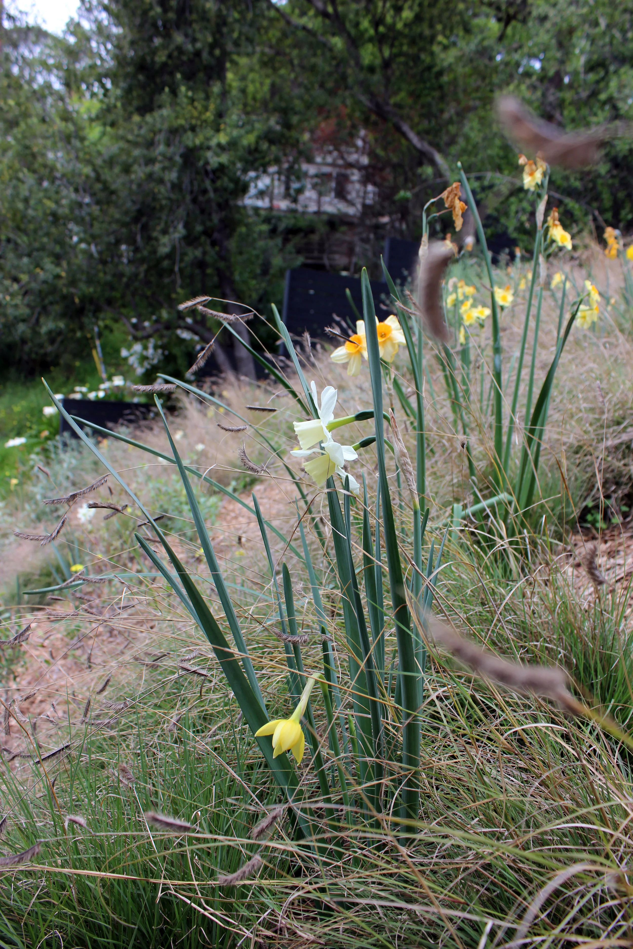 20 mar 15 front slope.JPG