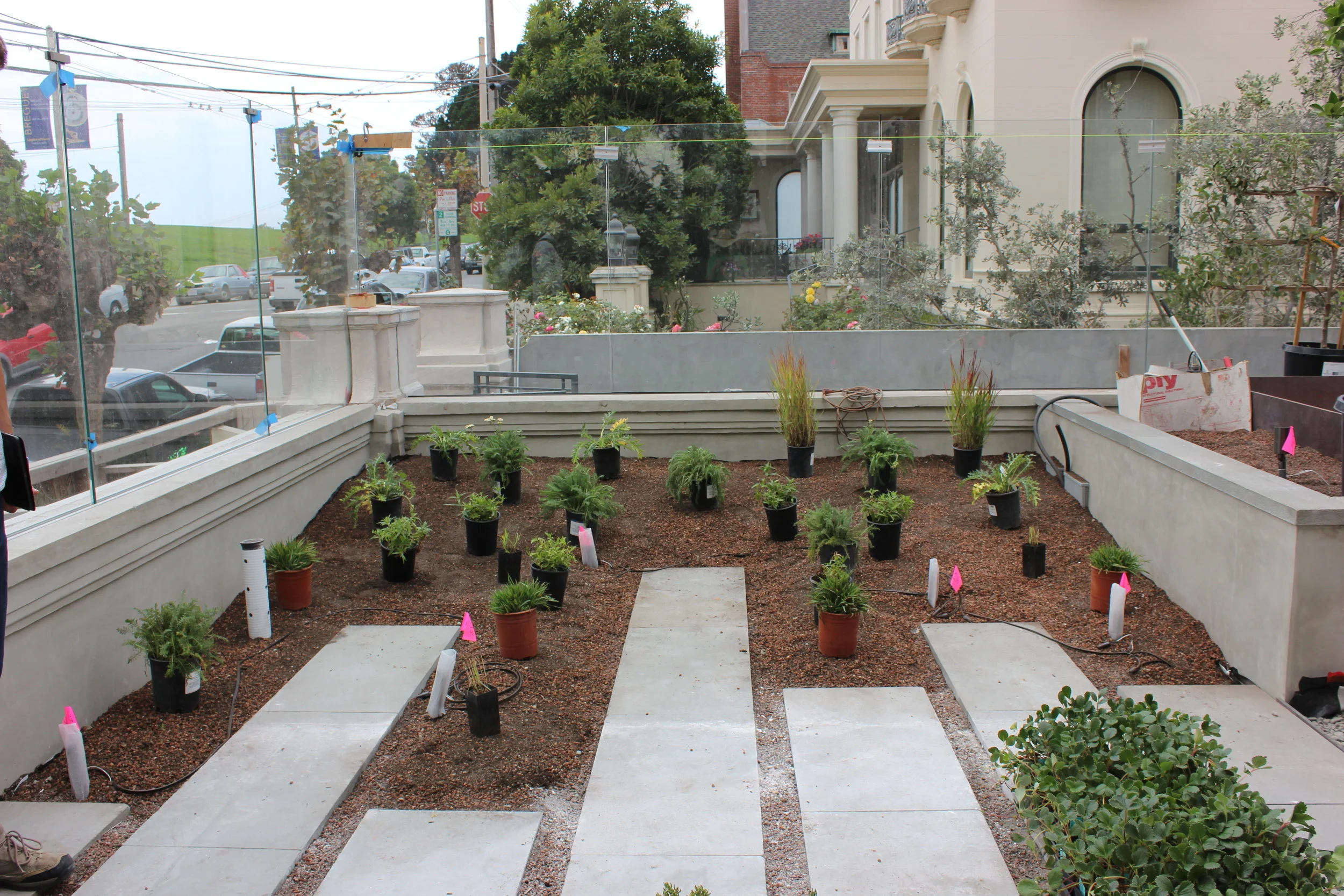 151030 planting layout.JPG