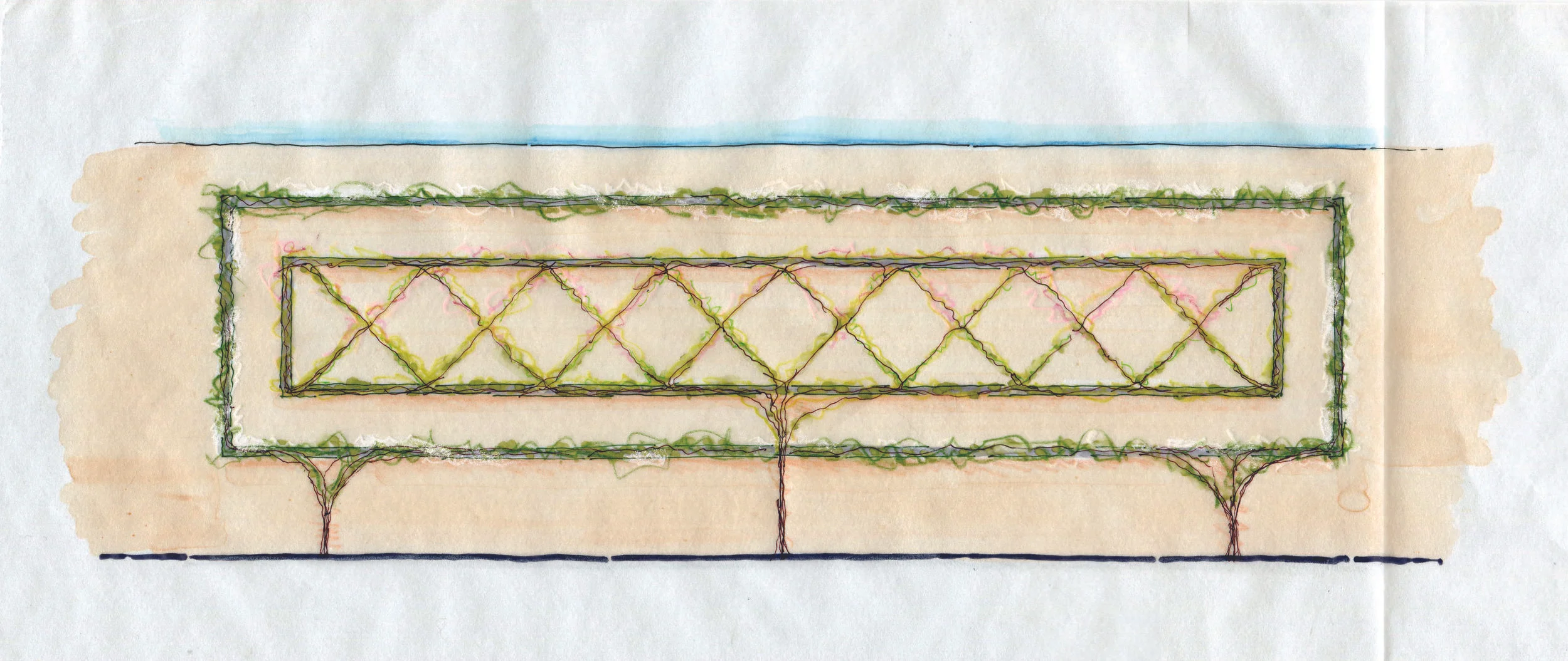 vine espalier elevation.jpg