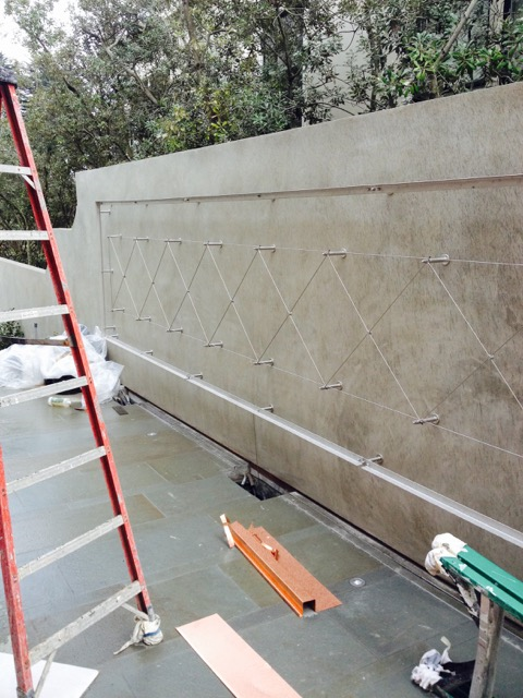 151124 vine espalier under const.png