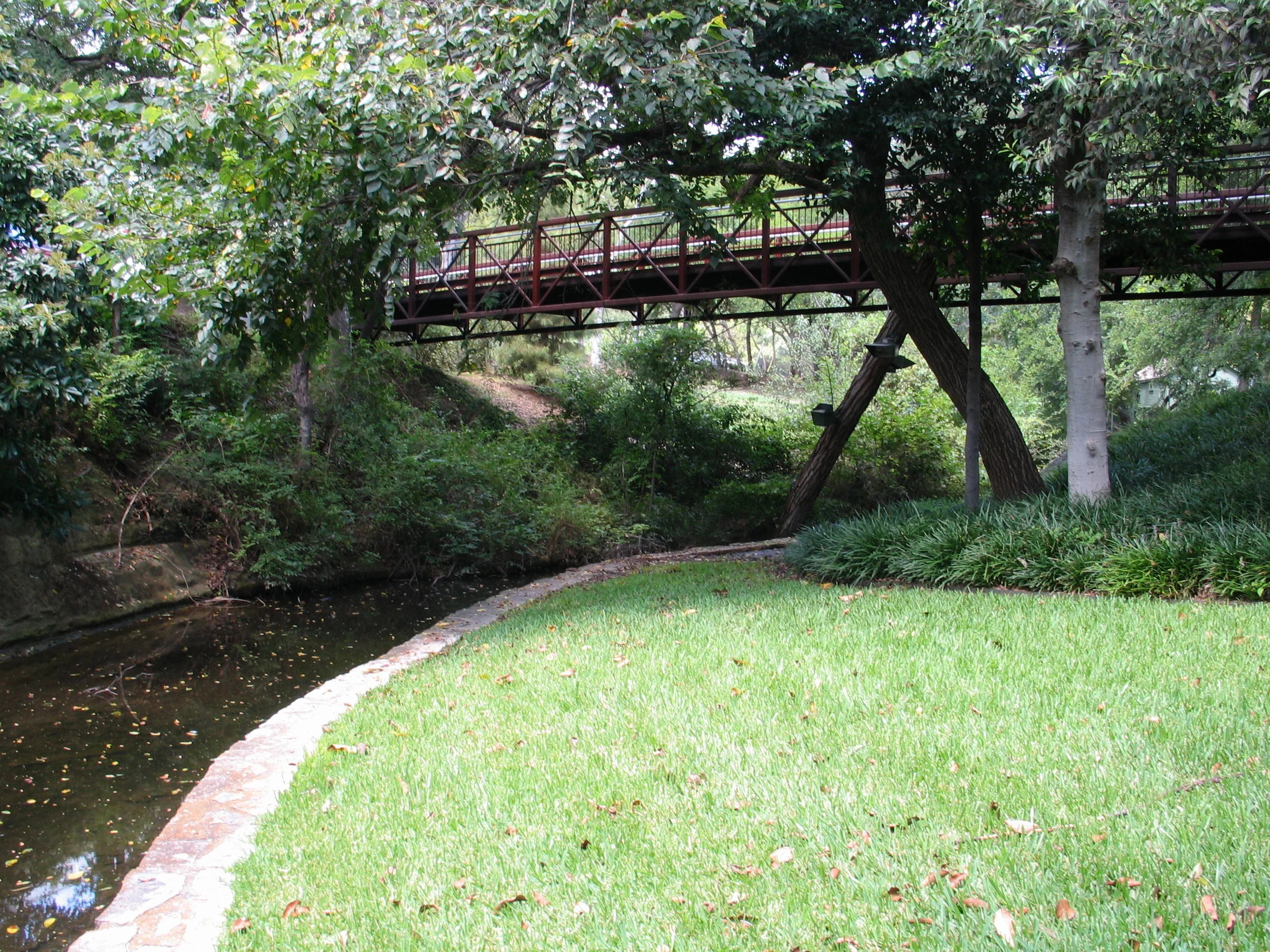 bridge and treelights.JPG